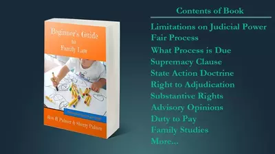 FFC Book Beginner's Guide to Family Law
