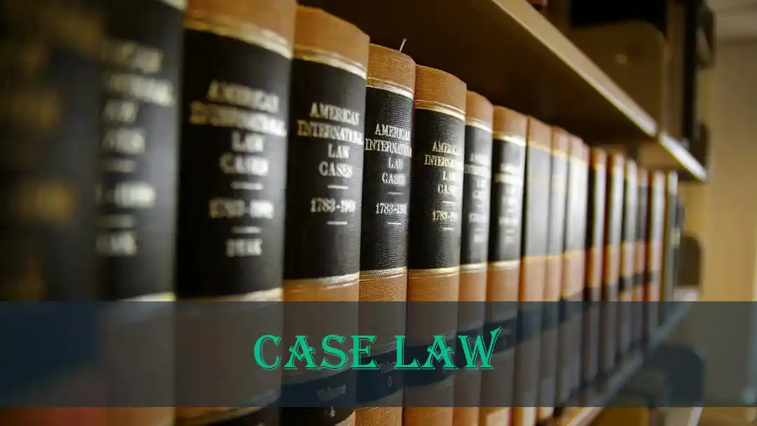 Divorce & Child Custody Case Law | featured image