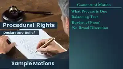 Procedural Rights Motion 