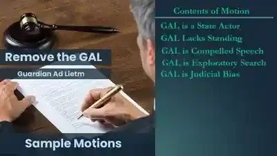GAL Removal Motion 