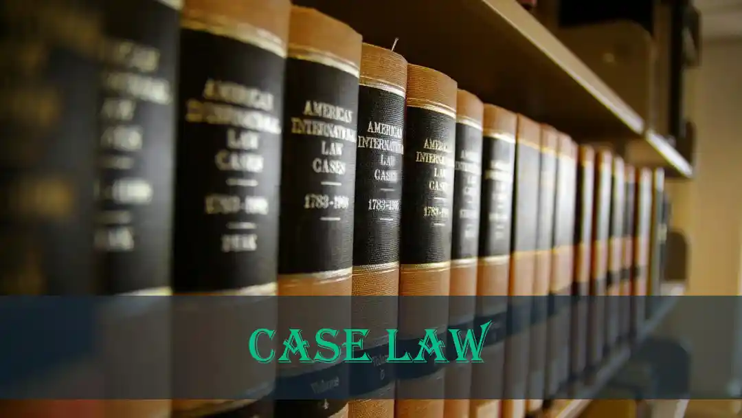 Divorce & Child Custody Case Law