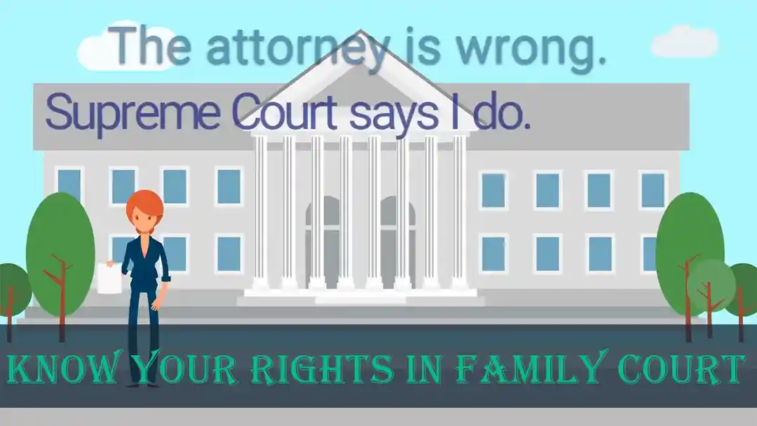Uf7fzFnCauo-know-your-rights-in-family-court